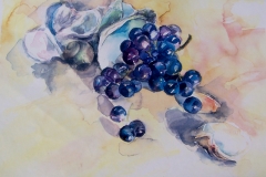 grapes and shells